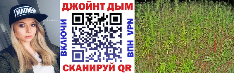 Бошки марихуана индика  hydra вход  Волосово  что такое наркотик 